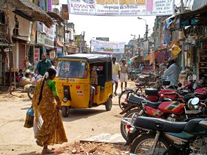 Karnataka Street Web